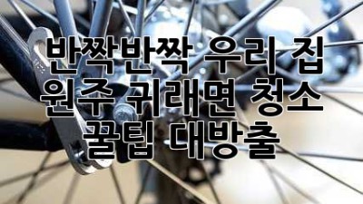 ✨ 반짝반짝 우리 집! 원주 귀래면 청소 꿀팁 대방출 🏡